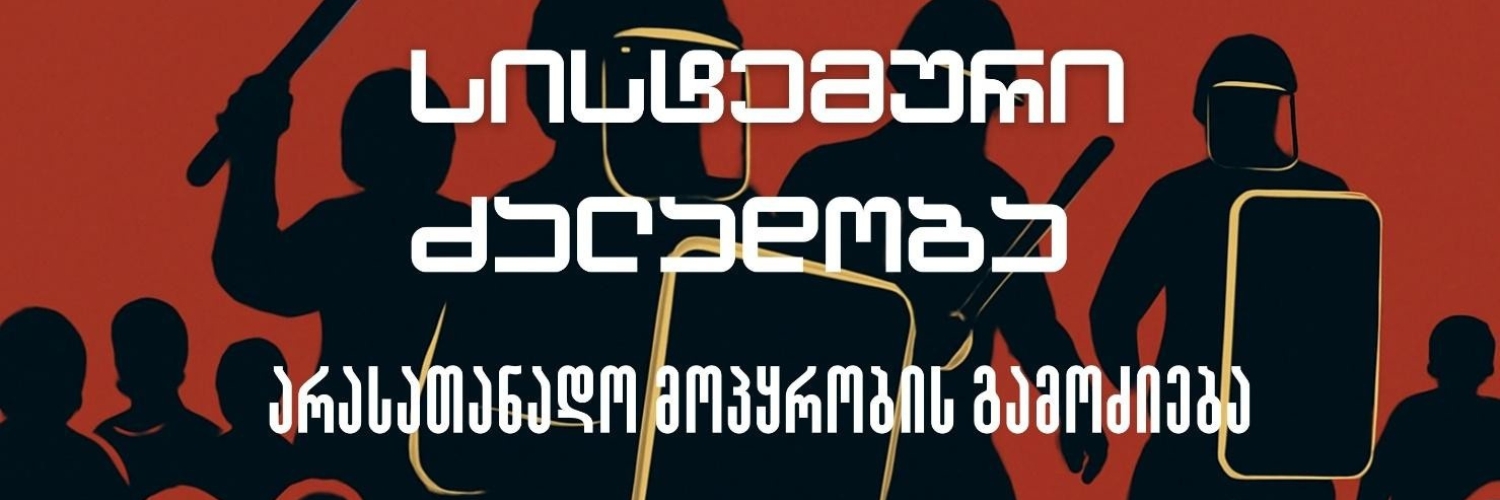 Systematic Violence: Investigation of Police Ill-Treatment